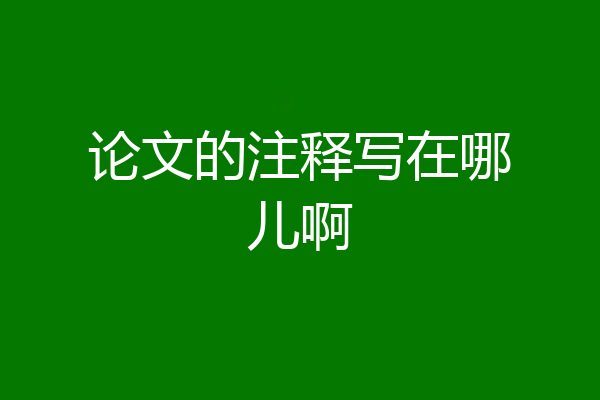 论文的注释写在哪儿啊