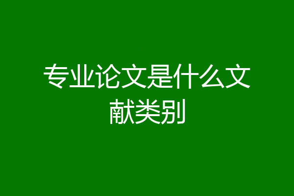 专业论文是什么文献类别