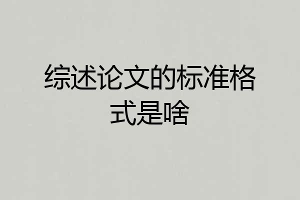综述论文的标准格式是啥