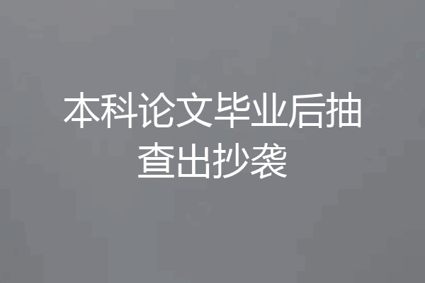 本科论文毕业后抽查出抄袭
