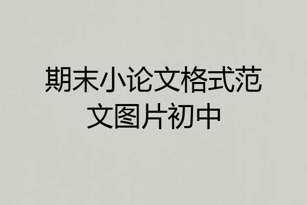 期末小论文格式范文图片初中