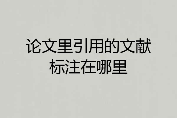 论文里引用的文献标注在哪里