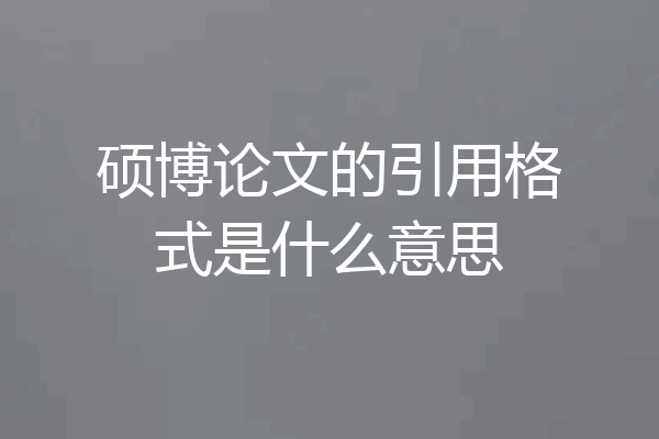 硕博论文的引用格式是什么意思