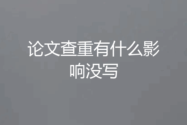 论文查重有什么影响没写