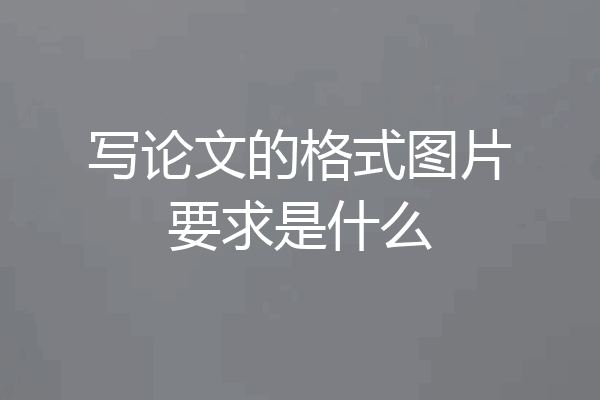 写论文的格式图片要求是什么