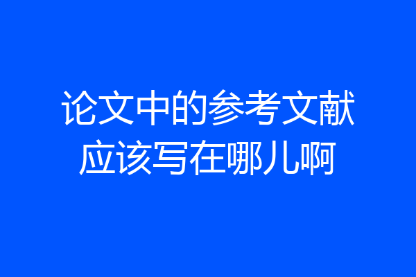 论文中的参考文献应该写在哪儿啊