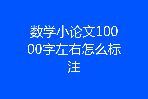数学小论文10000字左右怎么标注