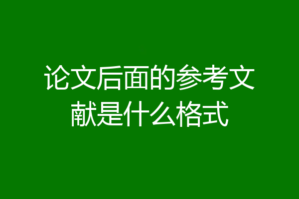 论文后面的参考文献是什么格式