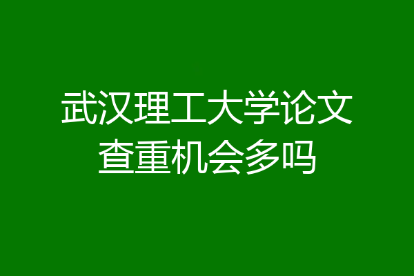 武汉理工大学论文查重机会多吗