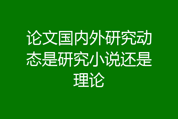 论文国内外研究动态是研究小说还是理论
