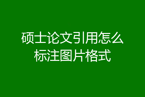 硕士论文引用怎么标注图片格式