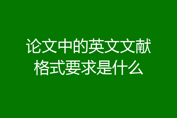 论文中的英文文献格式要求是什么