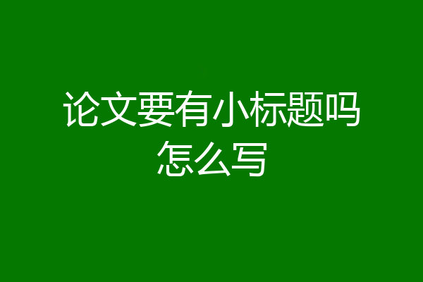 论文要有小标题吗怎么写