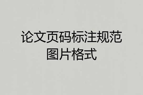 论文页码标注规范图片格式