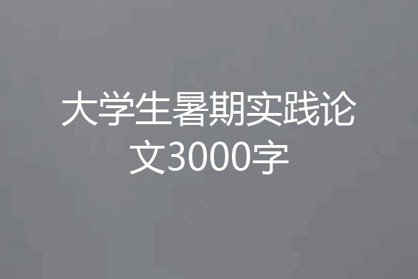 大学生暑期实践论文3000字