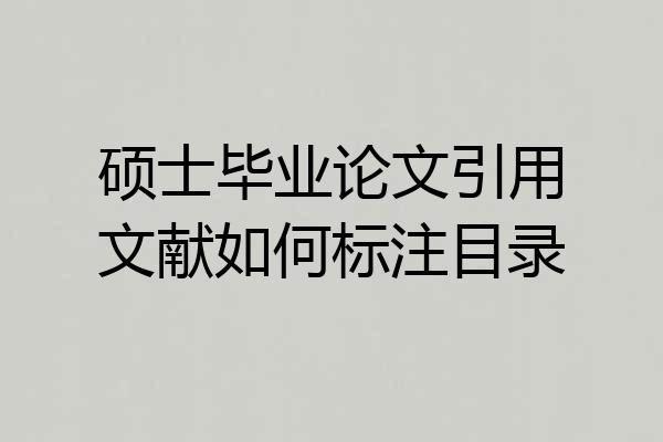 硕士毕业论文引用文献如何标注目录