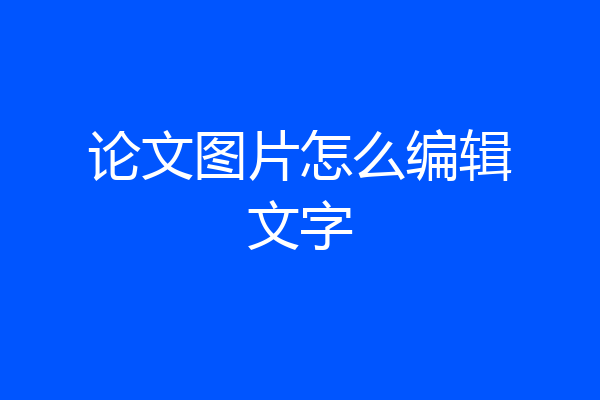 论文图片怎么编辑文字