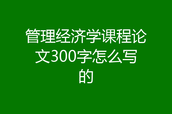 管理经济学课程论文300字怎么写的
