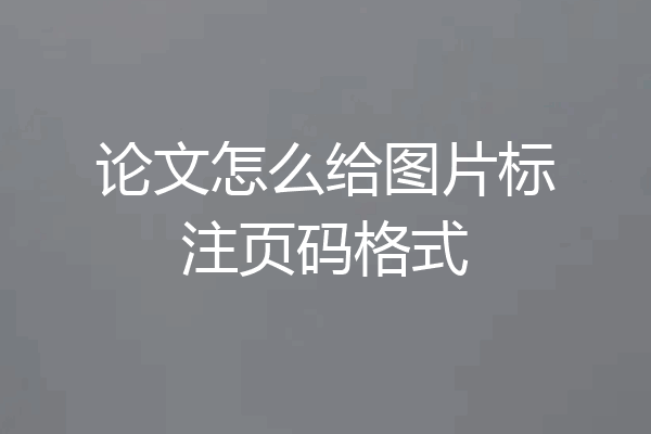 论文怎么给图片标注页码格式