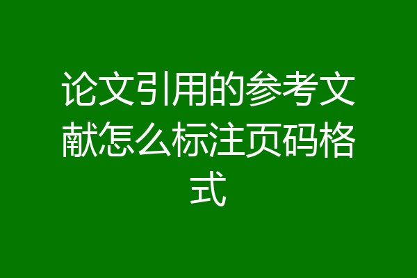 论文引用的参考文献怎么标注页码格式
