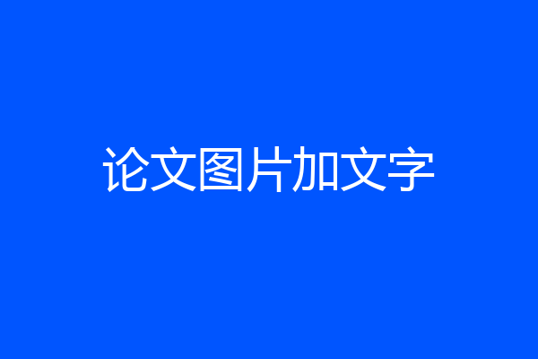 论文图片加文字