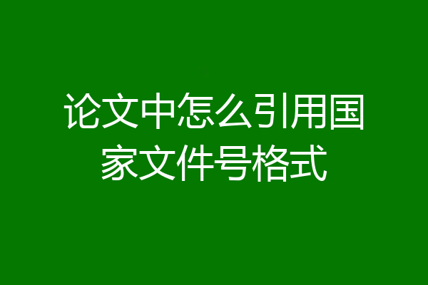 论文中怎么引用国家文件号格式