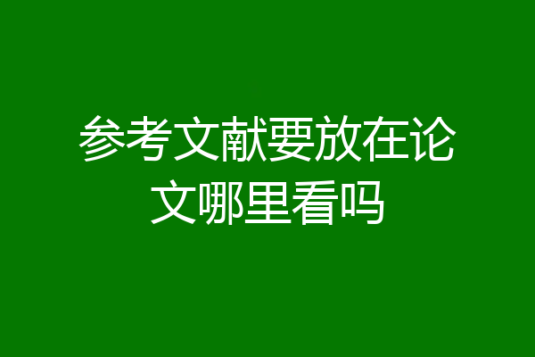 参考文献要放在论文哪里看吗