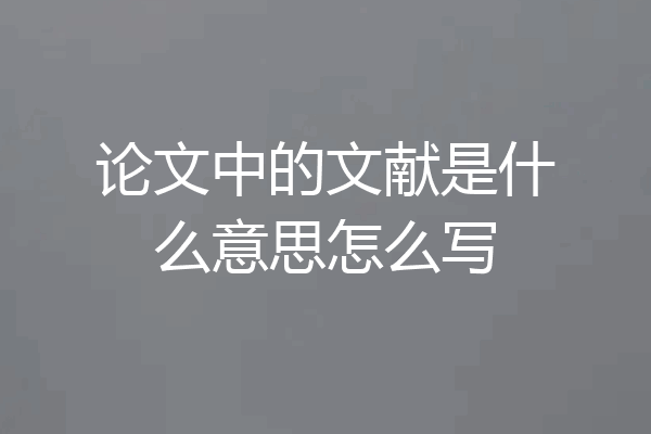 论文中的文献是什么意思怎么写