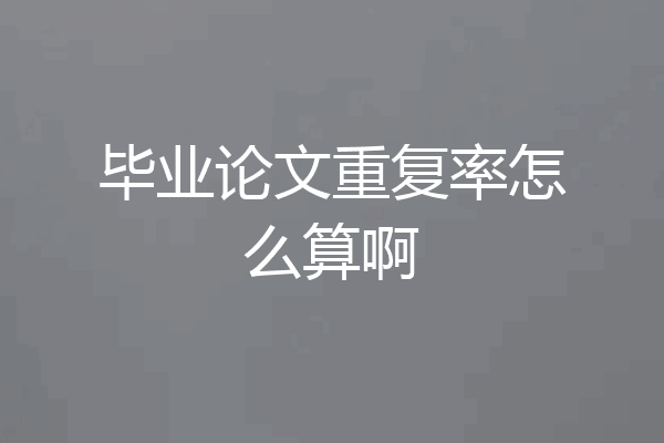 毕业论文重复率怎么算啊