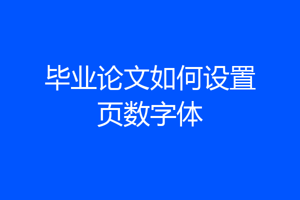 毕业论文如何设置页数字体
