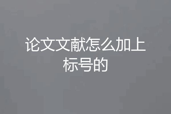 论文文献怎么加上标号的