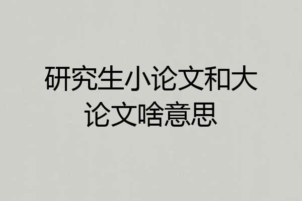 研究生小论文和大论文啥意思