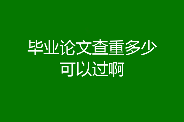 毕业论文查重多少可以过啊