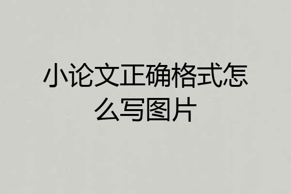 小论文正确格式怎么写图片