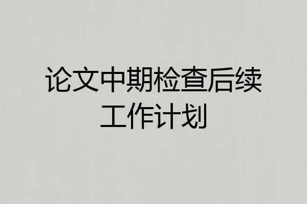 论文中期检查后续工作计划