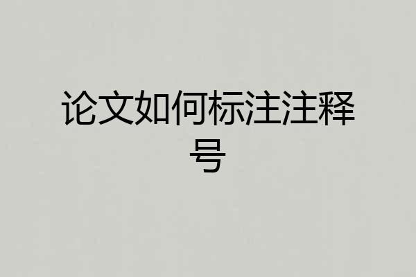 论文如何标注注释号
