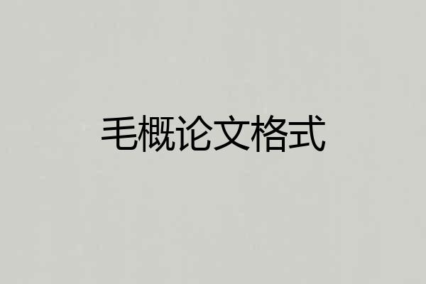 毛概论文格式