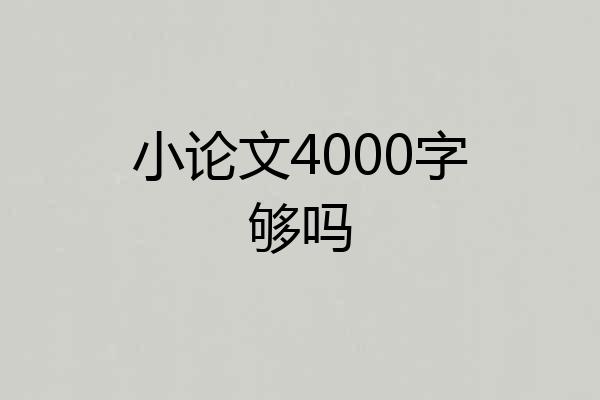 小论文4000字够吗