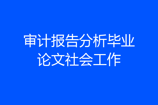 审计报告分析毕业论文社会工作