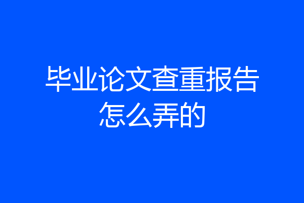 毕业论文查重报告怎么弄的