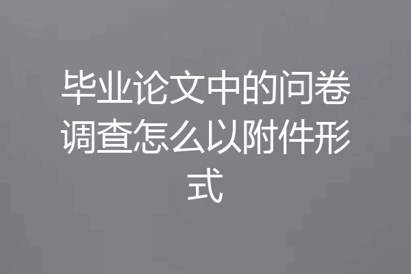 毕业论文中的问卷调查怎么以附件形式