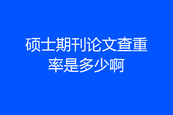 硕士期刊论文查重率是多少啊