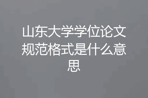 山东大学学位论文规范格式是什么意思