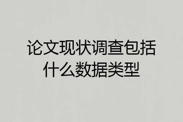 论文现状调查包括什么数据类型