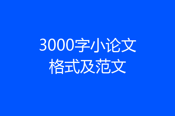 3000字小论文格式及范文