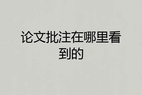 论文批注在哪里看到的