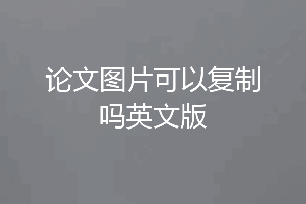 论文图片可以复制吗英文版
