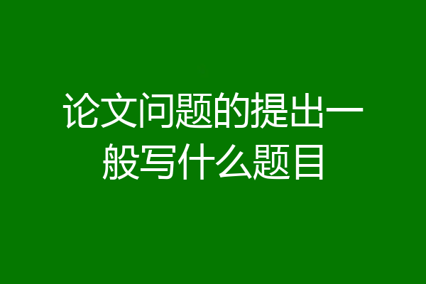 论文问题的提出一般写什么题目