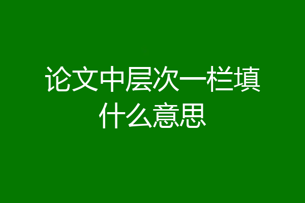 论文中层次一栏填什么意思