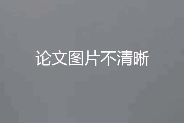 论文图片不清晰